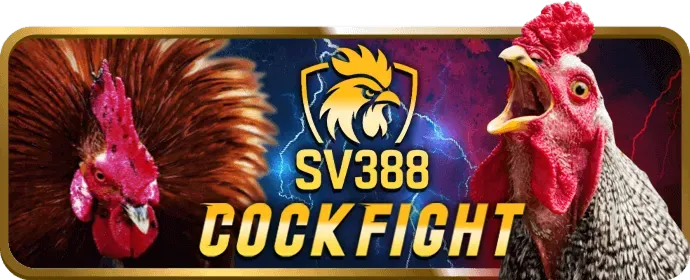 Cá cược thể thao av888